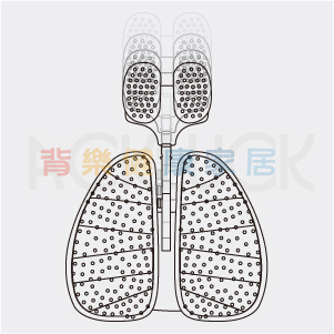 背樂健康家居